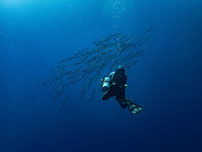 Snorkeling Tours